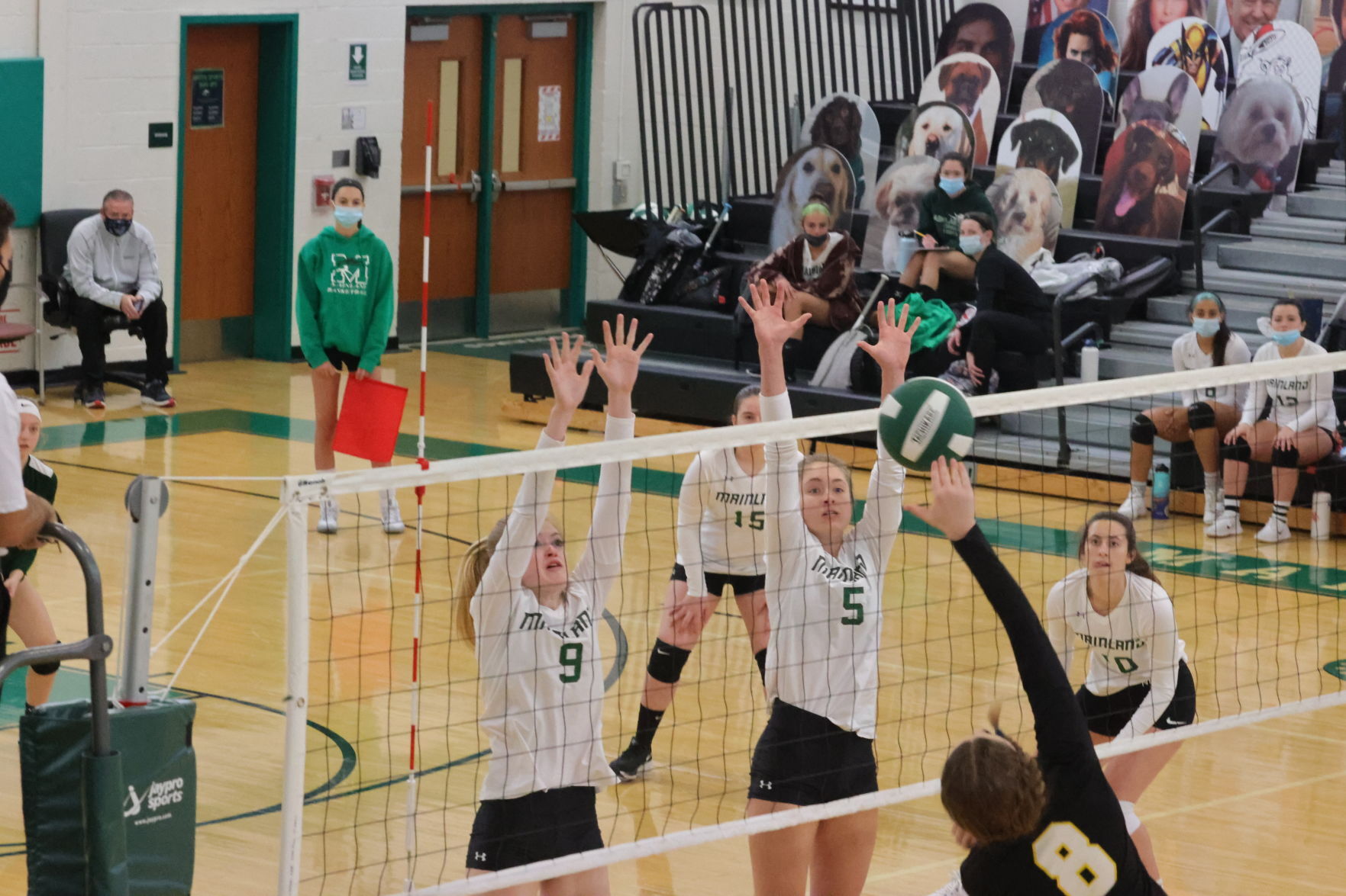 Mainland vs ACIT volleyball